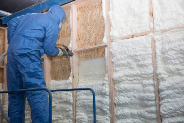 Best Reflective Insulation in Cerritos, CA